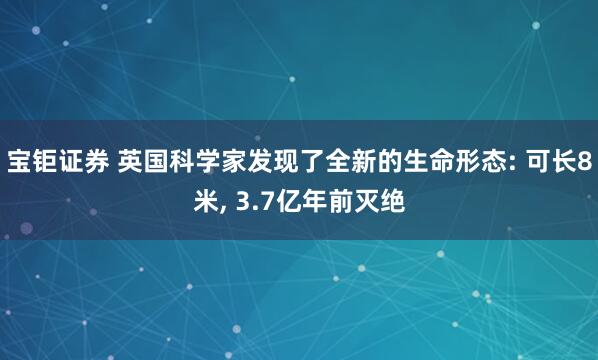宝钜证券 英国科学家发现了全新的生命形态: 可长8米, 3.7亿年前灭绝
