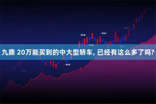 九鼎 20万能买到的中大型轿车, 已经有这么多了吗?