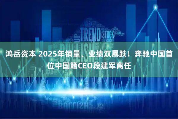 鸿岳资本 2025年销量、业绩双暴跌！奔驰中国首位中国籍CEO段建军离任