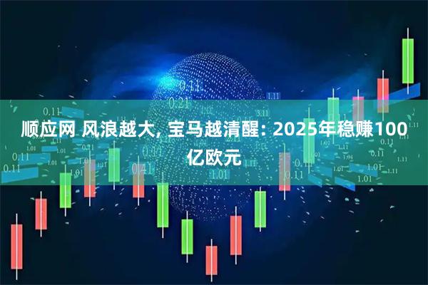 顺应网 风浪越大, 宝马越清醒: 2025年稳赚100亿欧元