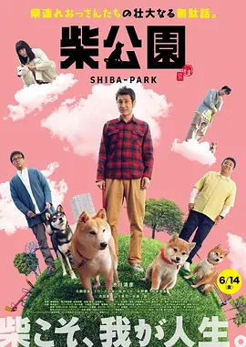 国产精品va在线播放