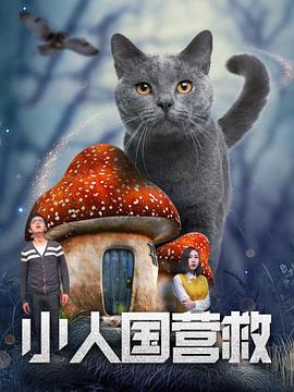 国产福利福利视频