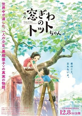 jinricp女团节目在线观看