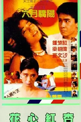 美女叉开腿