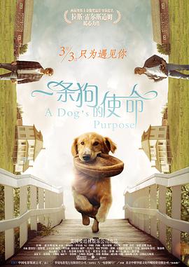 宝贝啊用力嗯轻一点