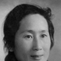 一本岛高清v不卡免费一三区