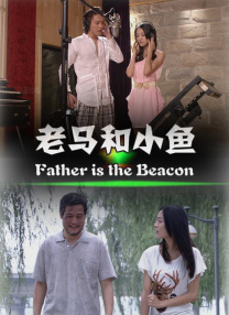 中国高清windows视频播放